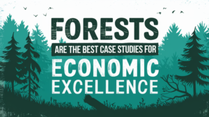 Forests are the best case studies for economic excellence